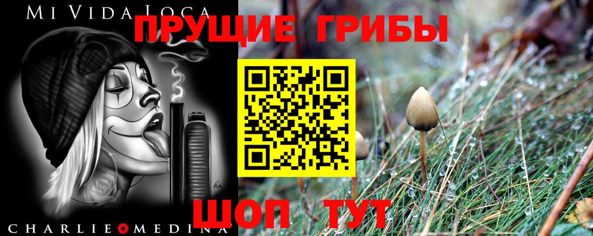 Галлюциногенные грибы Psilocybe  Псилоцибиновые грибы Psilocybine cubensis  Холмск  Вход с VPN 