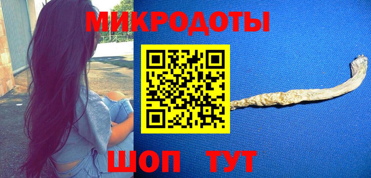 Псилоцибиновые грибы Cubensis Холмск